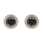 Lavencious 2-Tones with Black Cubic Zirconia Earrings