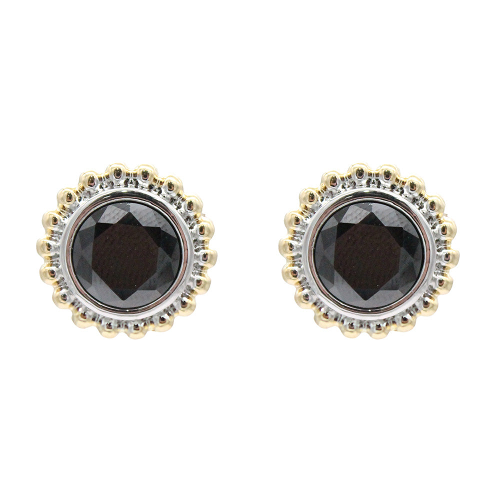 Lavencious 2-Tones with Black Cubic Zirconia Earrings
